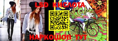 крисы Коммунар