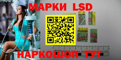 шишки Краснодар