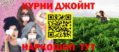 крисы Коммунар