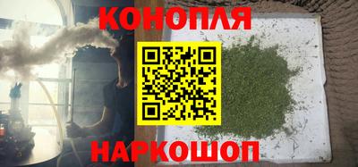 крисы Коммунар