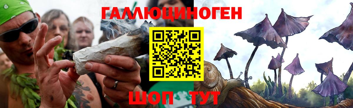 Псилоцибиновые грибы Cubensis Кольчугино