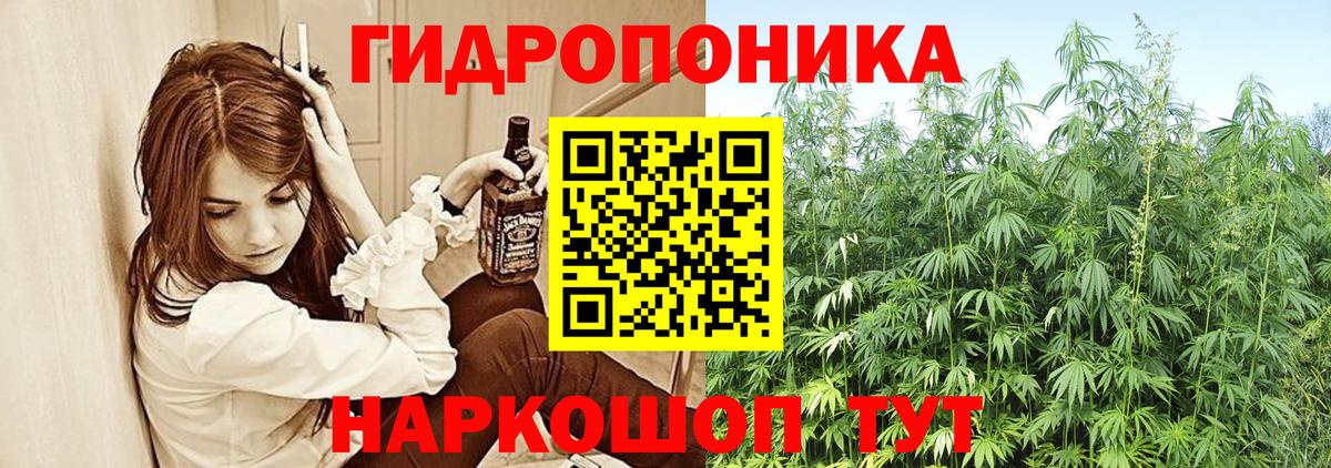 Канабис индика  Вход с VPN  Каннабис конопля  Кольчугино  Конопля гибрид  Бошки Шишки THC 21% 
